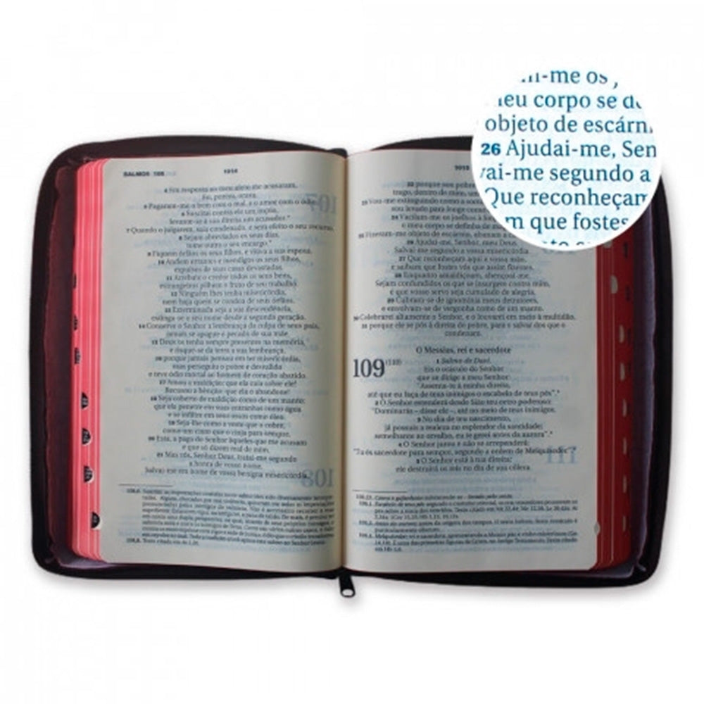 Bíblia Sagrada Ave Maria Marrom - Letra Maior com Zíper